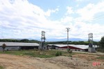 Ngành chuyên môn khuyến cáo gì sau 2 “tai nạn” tại các trang trại nuôi gà ở Hà Tĩnh?