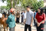 Trao 45 con bê cho các hộ nghèo ở Hà Tĩnh