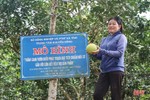 Nông dân Hà Tĩnh bắt nhịp xu hướng sản xuất nông nghiệp hữu cơ trên cây ăn quả