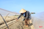 Nông dân Hà Tĩnh “cướp nắng”, hối hả sản xuất vụ đông