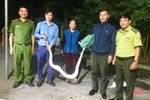 Bàn giao cá thể khỉ và trăn đất cho Vườn Quốc gia Vũ Quang