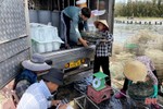 Vượt khó trong nuôi trồng, Hà Tĩnh thu gần 8.000 tấn thủy sản mặn lợ