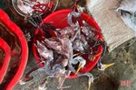 Công an Cẩm Xuyên xử lý nhiều vụ săn bắt, buôn bán chim trời