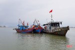 Hà Tĩnh quyết liệt ngăn chặn khai thác thủy sản bất hợp pháp