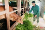 Người chăn nuôi Vũ Quang tăng đàn phục vụ thị trường tết