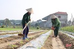 Tranh thủ trời khô ráo, nông dân Hà Tĩnh bám đồng sản xuất vụ đông
