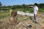 Sông Cầu Sú ở thị trấn Thạch Hà bị “xâm hại”