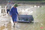 Xã đầu tiên ở Hương Sơn thực nghiệm máy cấy lúa có động cơ
