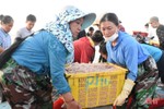 Hà Tĩnh phấn đấu khai thác 900 tỷ đồng thủy hải sản vụ cá Bắc