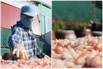 Các cơ sở chế biến hải sản ở Hà Tĩnh hối hả “gom” hàng tết