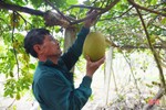 Động lực thúc đẩy xây dựng nông thôn mới ở Lộc Hà