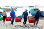 Ngư dân làng biển phía Nam Hà Tĩnh trúng đậm cá cơm