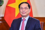 Bộ trưởng Bùi Thanh Sơn chúc mừng Hà Tĩnh nhân sự kiện Đại danh y Hải Thượng Lãn Ông được UNESCO vinh danh