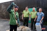 Bàn giao 4 cá thể trăn đất, khỉ đuôi lợn cho Vườn Quốc gia Vũ Quang