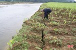 120 hộ dân ở Hương Sơn có nguy cơ mất đất sản xuất