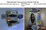 Sở Y tế Hà Tĩnh yêu cầu thu hồi sản phẩm Viên nang Linsen Double Caulis