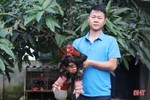 Nông dân Hà Tĩnh chăm vật nuôi đặc sản phục vụ thị trường tết