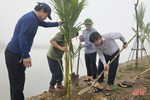 TP Hà Tĩnh trồng gần 5.000 cây dừa ở vùng sinh thái Đồng Ghè