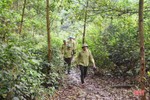 Hà Tĩnh gắn bảo vệ rừng với phát triển đa dạng hệ sinh thái