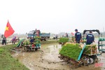 Ứng dụng công nghệ mạ khay máy cấy sản xuất lúa hữu cơ ở Cẩm Xuyên