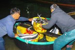 Ngư dân Cẩm Nhượng trúng đậm hải sản