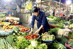 Giá rau xanh cao, nông dân Hà Tĩnh tranh thủ tăng diện tích sản xuất