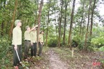 Vào cuộc quyết liệt, sẵn sàng phương án bảo vệ rừng trong đợt cao điểm