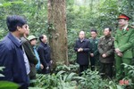 Xử lý nghiêm các trường hợp vi phạm pháp luật về bảo vệ rừng