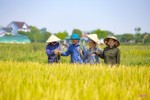 Nông nghiệp Hà Tĩnh trên hành trình tăng trưởng xanh