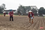 Nông dân Lộc Hà “gác” tết vì mục tiêu 2.468 tấn lạc xuân