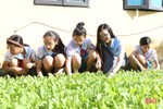Vườn rau, hoa trong trường học ở TP Hà Tĩnh - không chỉ là cảnh quan