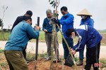 Hà Tĩnh sẽ trồng gần 1,7 triệu cây xanh dịp xuân Giáp Thìn