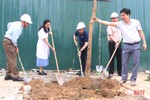 Trường Cao đẳng Y tế Hà Tĩnh phát động tết trồng cây