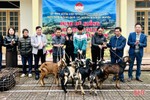 Hỗ trợ 12 cặp dê giống cho các hộ nghèo Hương Sơn