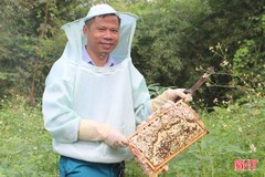Mùa thu hoạch mật ong ở Hương Sơn