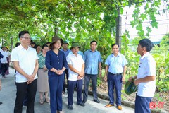 Đoàn công tác Hội Nông dân Việt Nam ấn tượng với các mô hình nông nghiệp của Hà Tĩnh