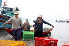 Vì sao sản lượng thủy sản được giám sát qua cảng cá Hà Tĩnh còn thấp?