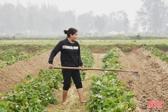 Thời tiết nắng ráo, nông dân Lộc Hà ra đồng chăm sóc cây trồng vụ xuân