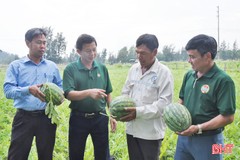 Hướng đi "nông nghiệp sạch" ở Lộc Hà