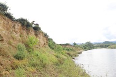 Sông "ngoạm" đồi chè, nhiều hộ dân mất dần tư liệu sản xuất
