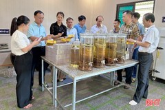 Huyện Hương Sơn có thêm 6 sản phẩm OCOP 3 sao