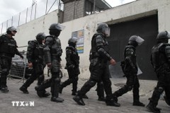 Cảnh sát Ecuador giải cứu thành công 49 người bị tội phạm ma túy bắt cóc
