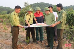 Phương án huy động lực lượng, phương tiện ứng cứu chữa cháy rừng khi có cháy lớn 
