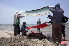 Phát hiện xác cá voi trôi dạt vào bờ biển Nghi Xuân