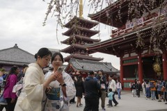 Tour chuyên nói dối hút khách ở Tokyo