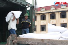 Hà Tĩnh phân bổ hơn 2.525 tấn gạo cho hộ dân ảnh hưởng bão số 10