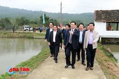 Xây dựng NTM ở Hà Tĩnh: Bền vững từ khu dân cư kiểu mẫu, vườn mẫu
