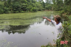 Trại lợn "bủa vây" nguồn nước, dân Trung Sơn sống trong ô nhiễm