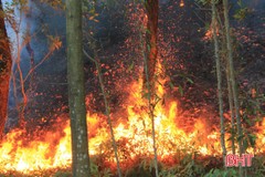 Cháy rừng ở Nghi Xuân: Ngọn lửa lan rộng, uy hiếp cây xăng Gia Lách