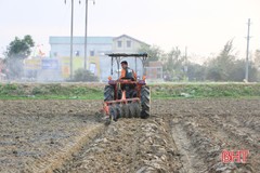 Nông dân Hà Tĩnh gieo trỉa lạc xuân “xuyên” Tết, đạt trên 600 ha